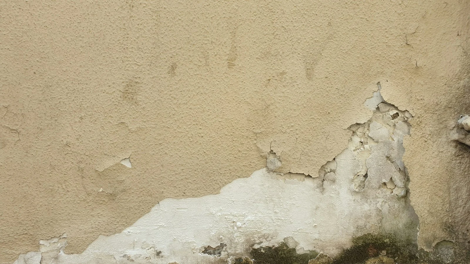 Water Leak Detection in Singapore: Finding Hidden Leaks