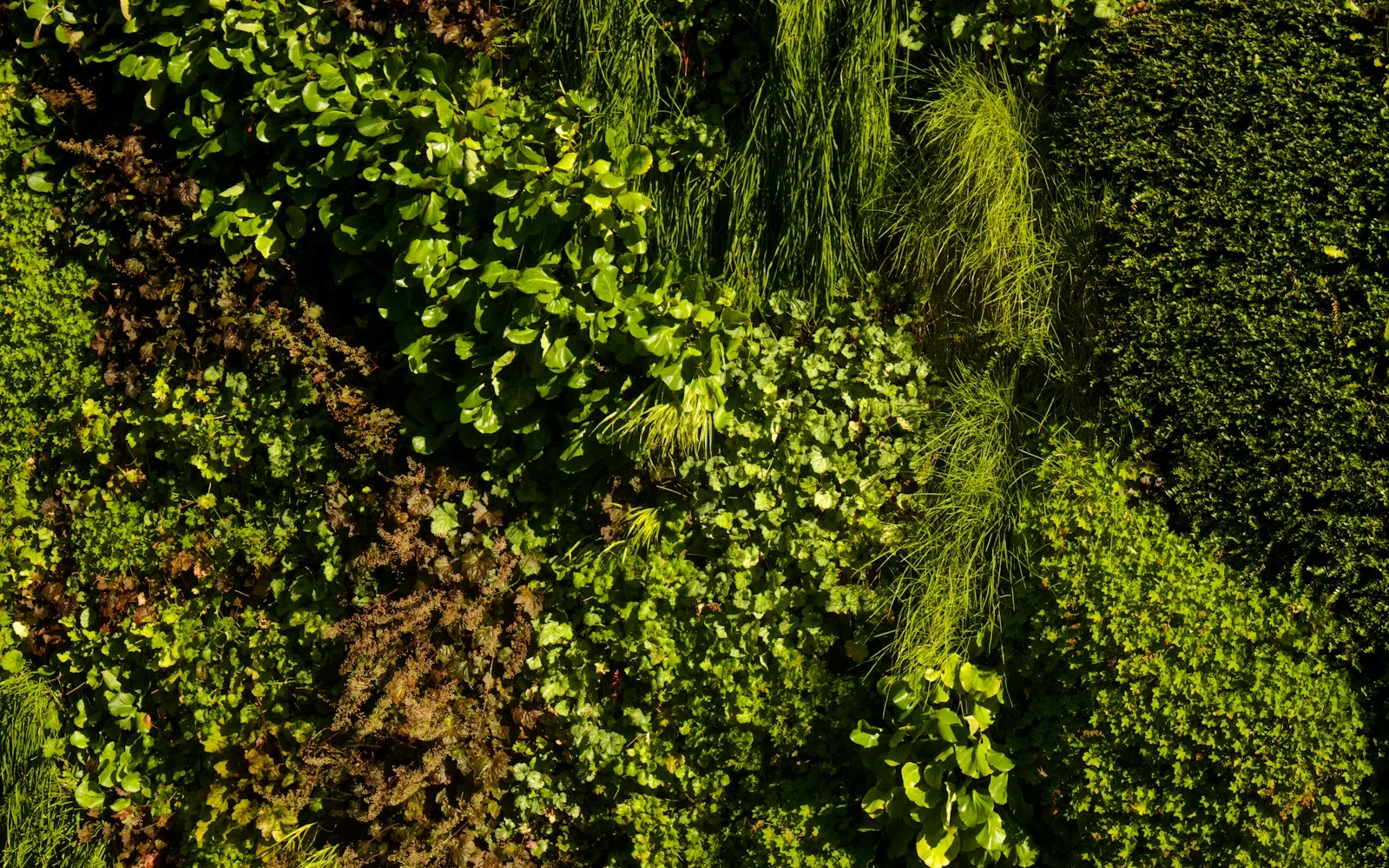 Vertical Gardens & Green Walls in Singapore