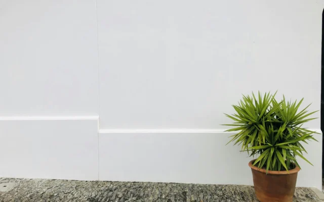 Skirting in Singapore: Types and Why It Matters