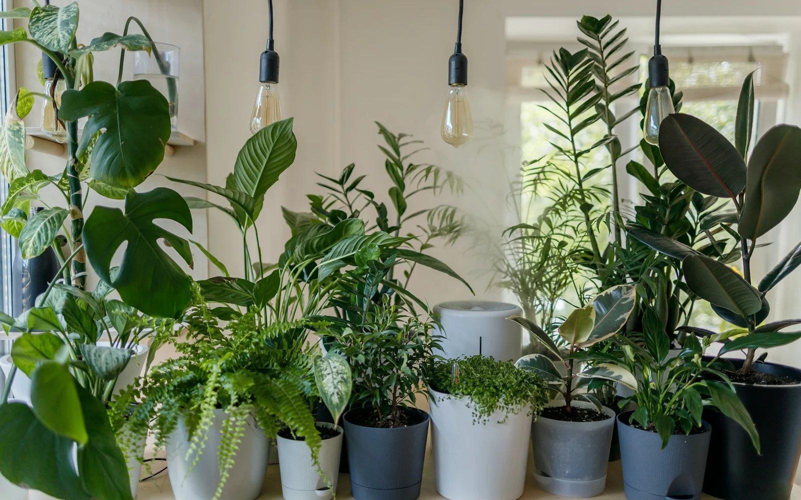 Biophilic Design in Singapore: Bringing Nature Indoors
