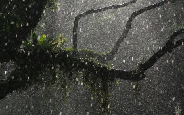 Preventing Leaks in Singapore’s Monsoon Season
