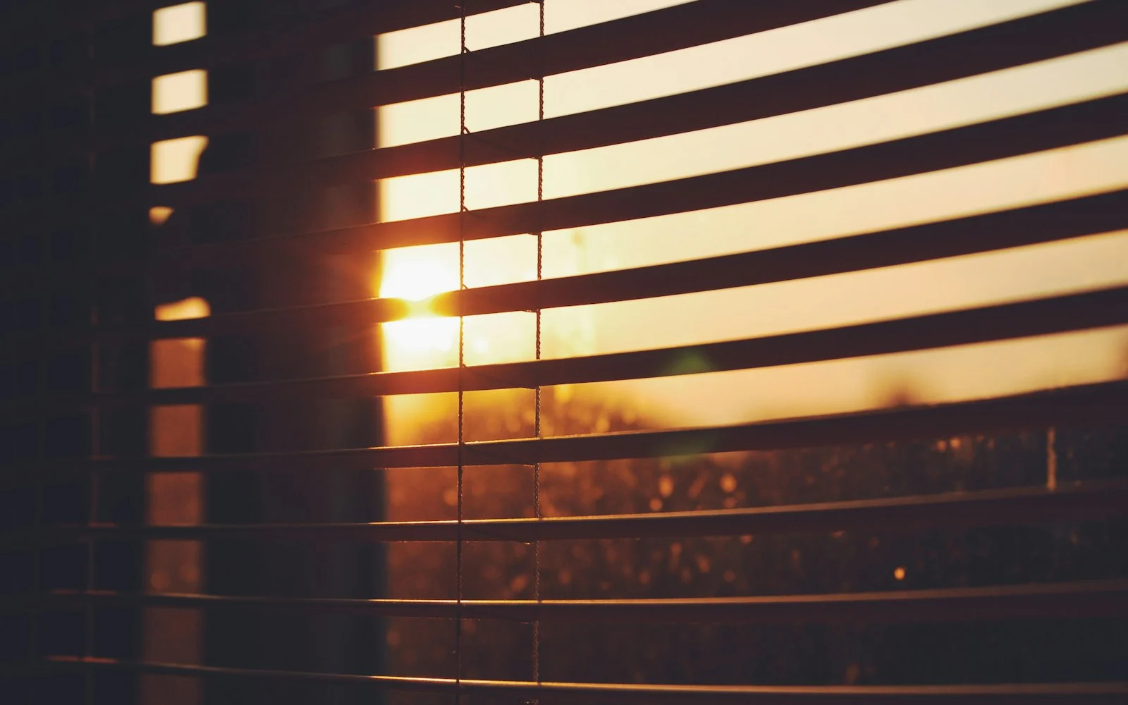 Day & Night Blinds in Singapore: Flexible Light Control