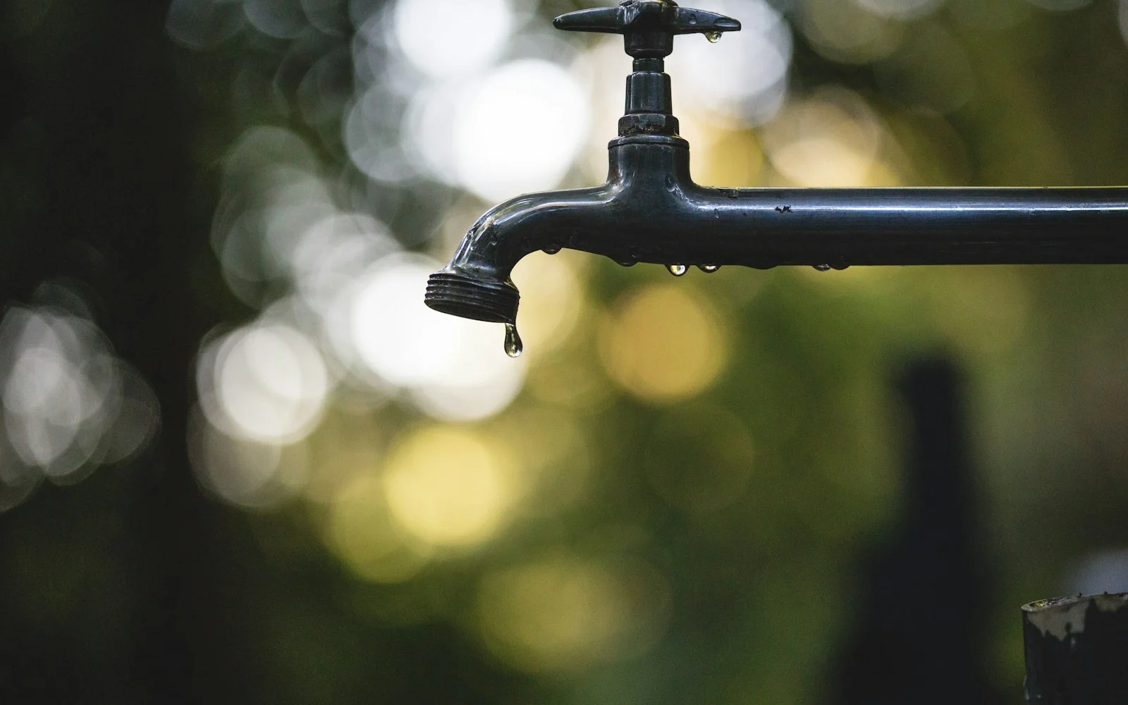 Water-Saving Fittings for Your Home in Singapore